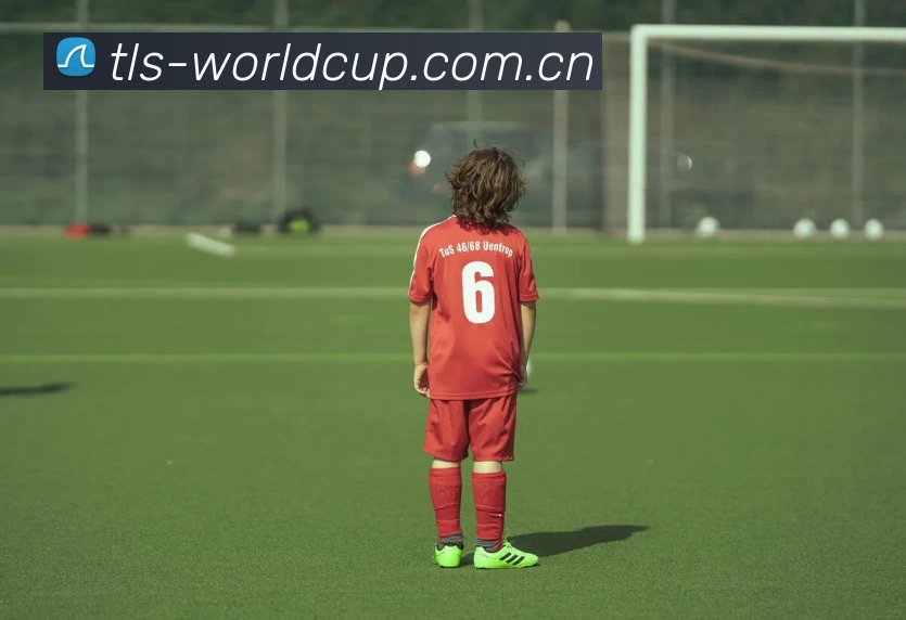 2026世界杯 App界面演示